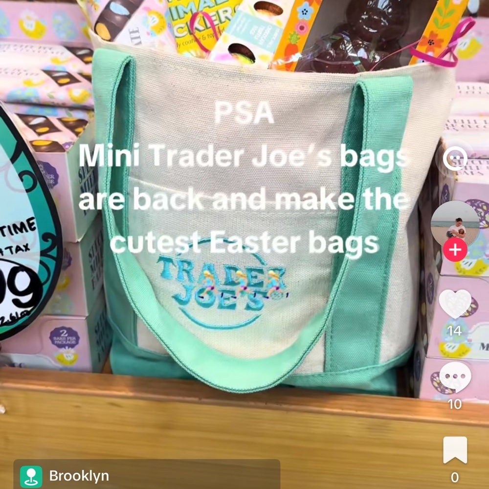 Trader Joe's Mini Tote Pastel Green Bag 🐇 - Picture 3 of 5